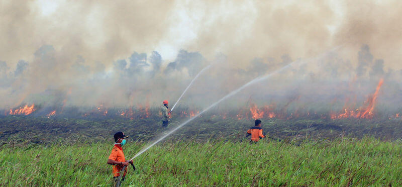 Gara-gara Kebakaran Hutan Riau, Indonesia jadi negara Global Warming terparah gan!