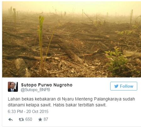 Kabut Asap di Palangkaraya