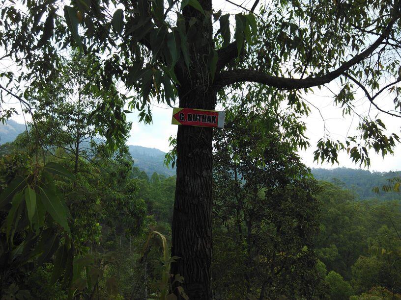 &#91;Catper&#93; Solo UL trip Gunung Buthak lintas Batu-Kraton Gunung Kawi 14-15 Oktober 2015