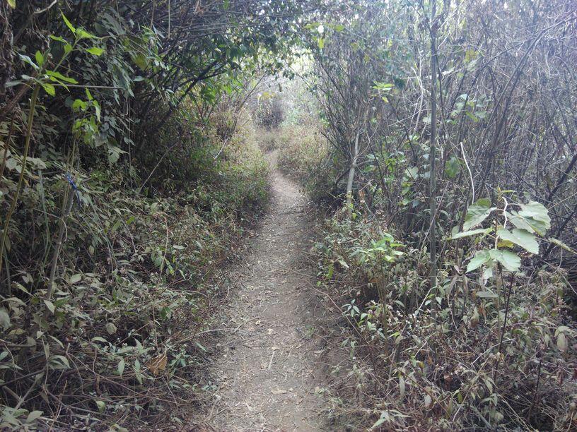 &#91;Catper&#93; Solo UL trip Gunung Buthak lintas Batu-Kraton Gunung Kawi 14-15 Oktober 2015