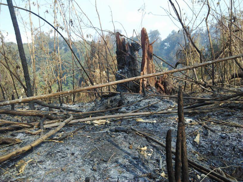 &#91;Catper&#93; Solo UL trip Gunung Buthak lintas Batu-Kraton Gunung Kawi 14-15 Oktober 2015