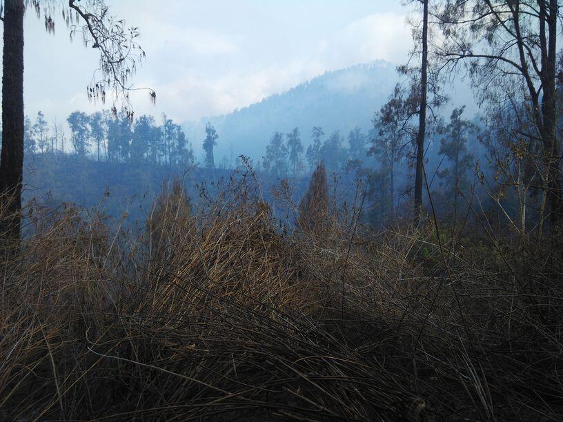 &#91;Catper&#93; Solo UL trip Gunung Buthak lintas Batu-Kraton Gunung Kawi 14-15 Oktober 2015
