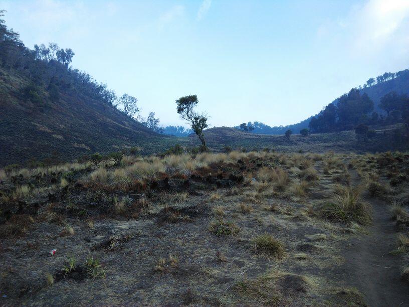 &#91;Catper&#93; Solo UL trip Gunung Buthak lintas Batu-Kraton Gunung Kawi 14-15 Oktober 2015