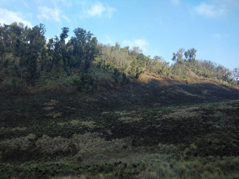 &#91;Catper&#93; Solo UL trip Gunung Buthak lintas Batu-Kraton Gunung Kawi 14-15 Oktober 2015