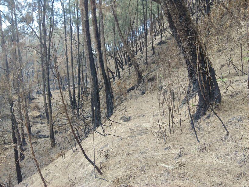 &#91;Catper&#93; Solo UL trip Gunung Buthak lintas Batu-Kraton Gunung Kawi 14-15 Oktober 2015