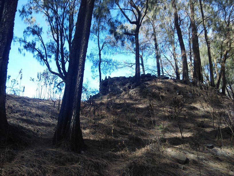 &#91;Catper&#93; Solo UL trip Gunung Buthak lintas Batu-Kraton Gunung Kawi 14-15 Oktober 2015