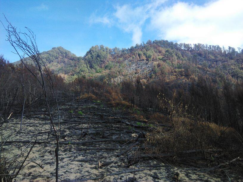 &#91;Catper&#93; Solo UL trip Gunung Buthak lintas Batu-Kraton Gunung Kawi 14-15 Oktober 2015