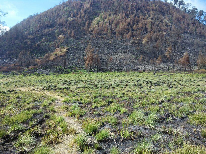 &#91;Catper&#93; Solo UL trip Gunung Buthak lintas Batu-Kraton Gunung Kawi 14-15 Oktober 2015