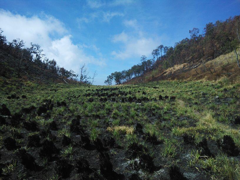 &#91;Catper&#93; Solo UL trip Gunung Buthak lintas Batu-Kraton Gunung Kawi 14-15 Oktober 2015