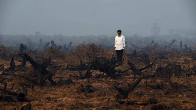 Kemenkes: 10 Orang Meninggal dan 272.001 Orang Terkena ISPA Akibat Bencana Asap