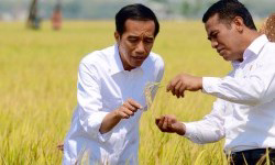 Jokowi akan Buat Petani Menangis Lagi...