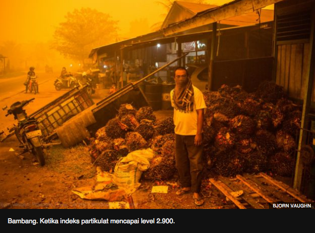Kehancuran, kesedihan, dan harapan: foto-foto kabut asap yang menggugah
