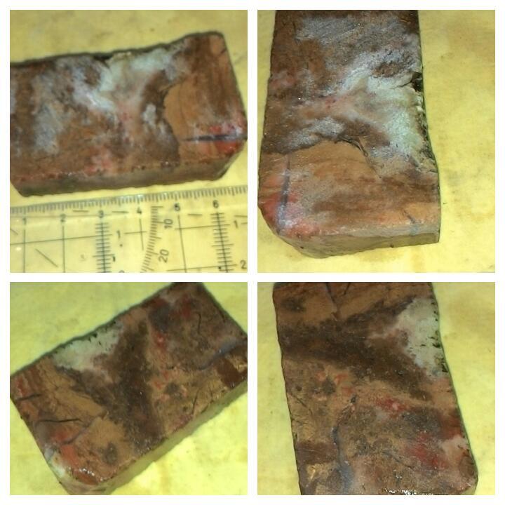 LELANG TANGGAL TUA TETEP EKSIS( BADAR,LAVENDER,SOLOK)CLOSE 27/10 22:00 AUTOCLOSE
