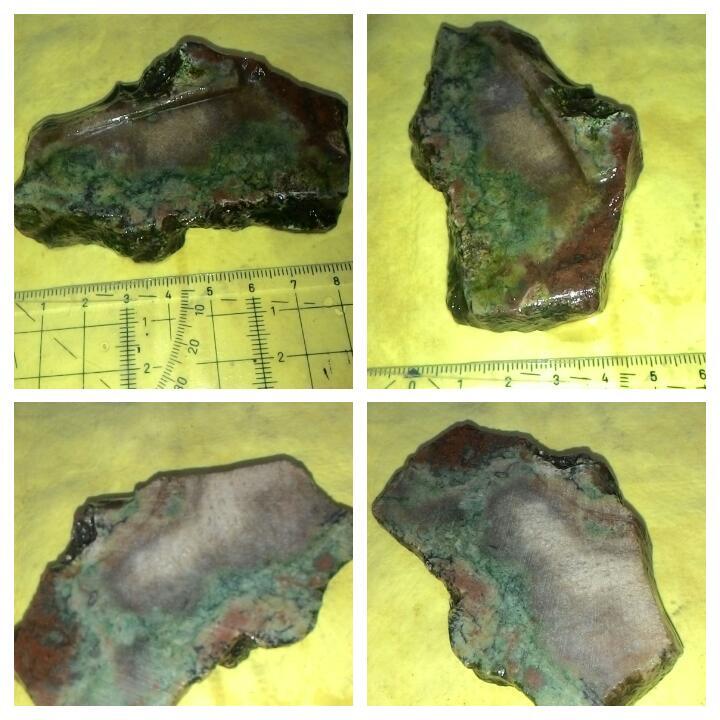 LELANG TANGGAL TUA TETEP EKSIS( BADAR,LAVENDER,SOLOK)CLOSE 27/10 22:00 AUTOCLOSE