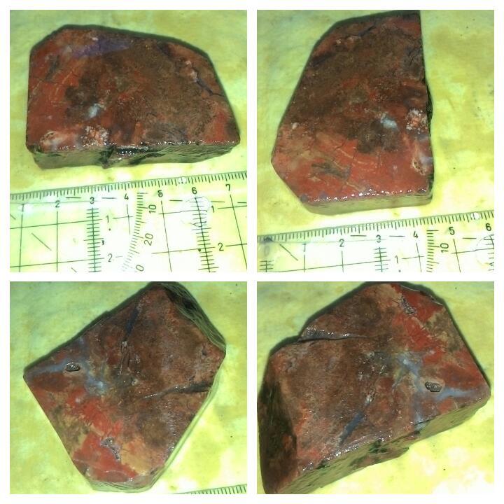 LELANG TANGGAL TUA TETEP EKSIS( BADAR,LAVENDER,SOLOK)CLOSE 27/10 22:00 AUTOCLOSE