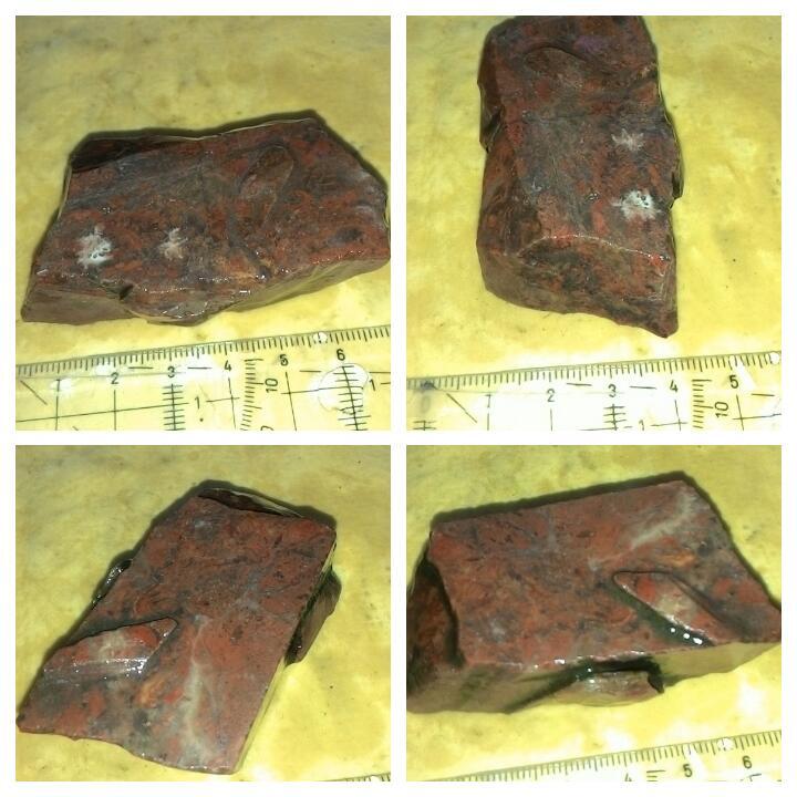 LELANG TANGGAL TUA TETEP EKSIS( BADAR,LAVENDER,SOLOK)CLOSE 27/10 22:00 AUTOCLOSE