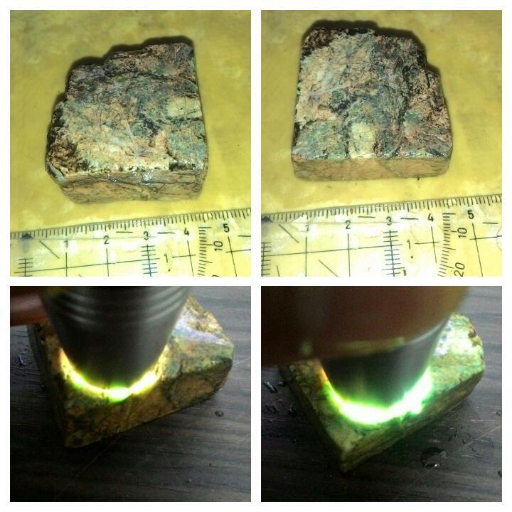 LELANG TANGGAL TUA TETEP EKSIS( BADAR,LAVENDER,SOLOK)CLOSE 27/10 22:00 AUTOCLOSE