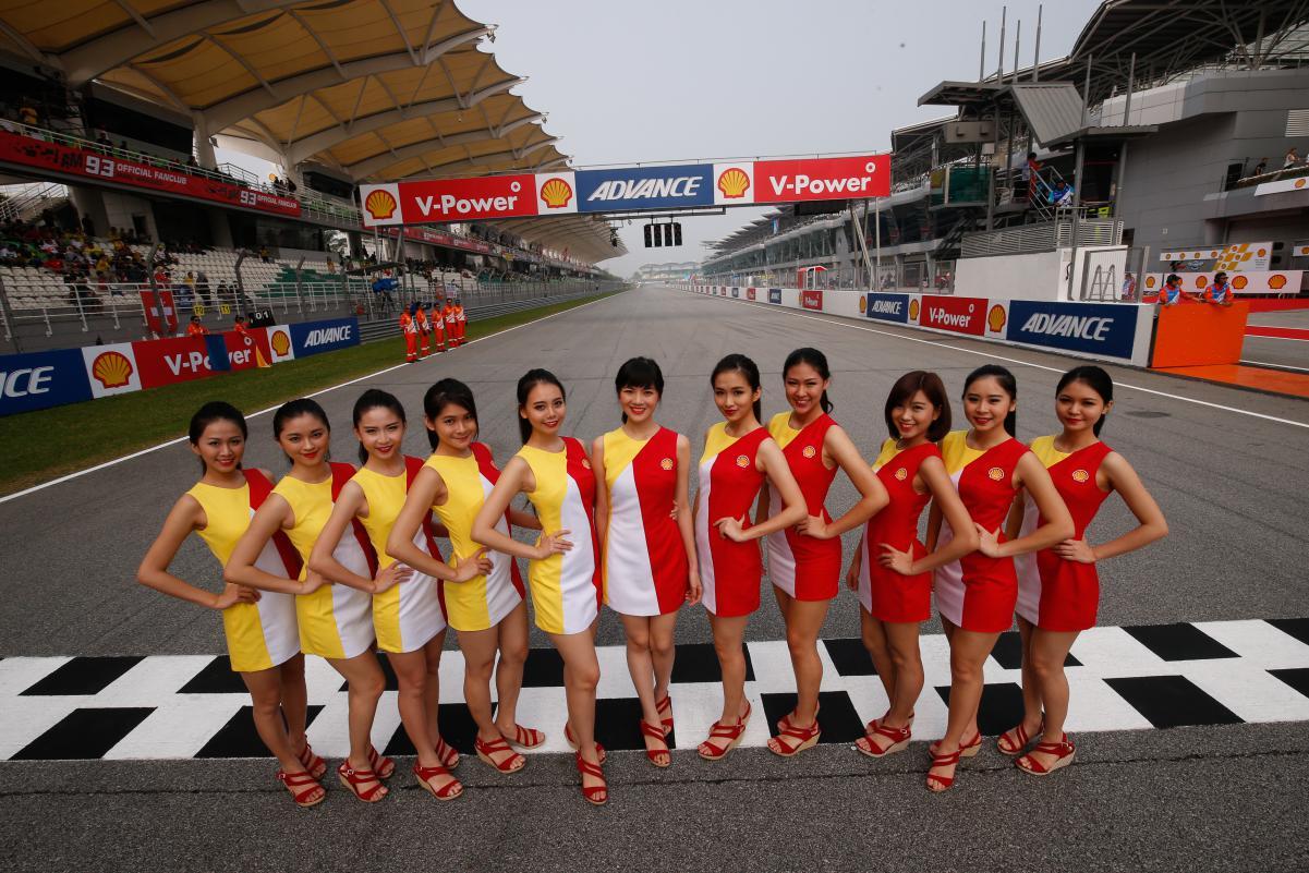 Paddockk Girl Moto Gp 2015 GP Sepang Malaysia