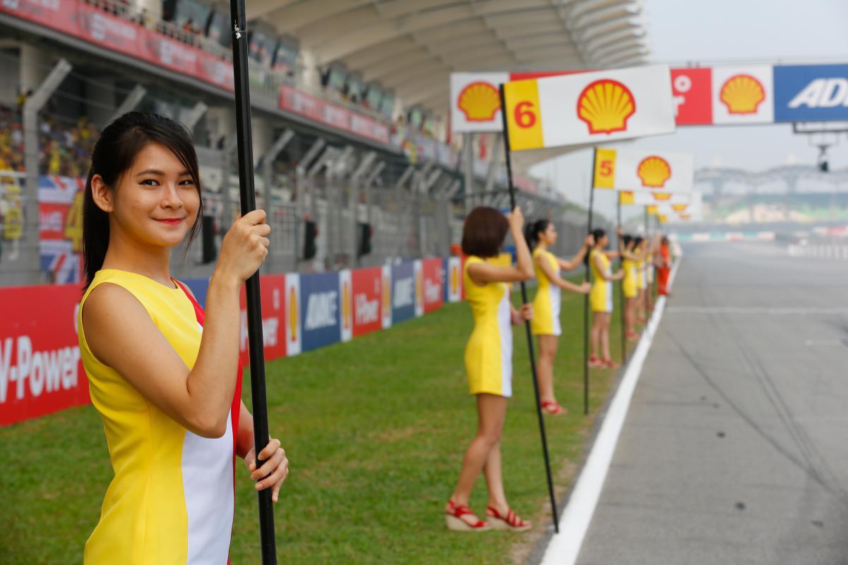 Paddockk Girl Moto Gp 2015 GP Sepang Malaysia