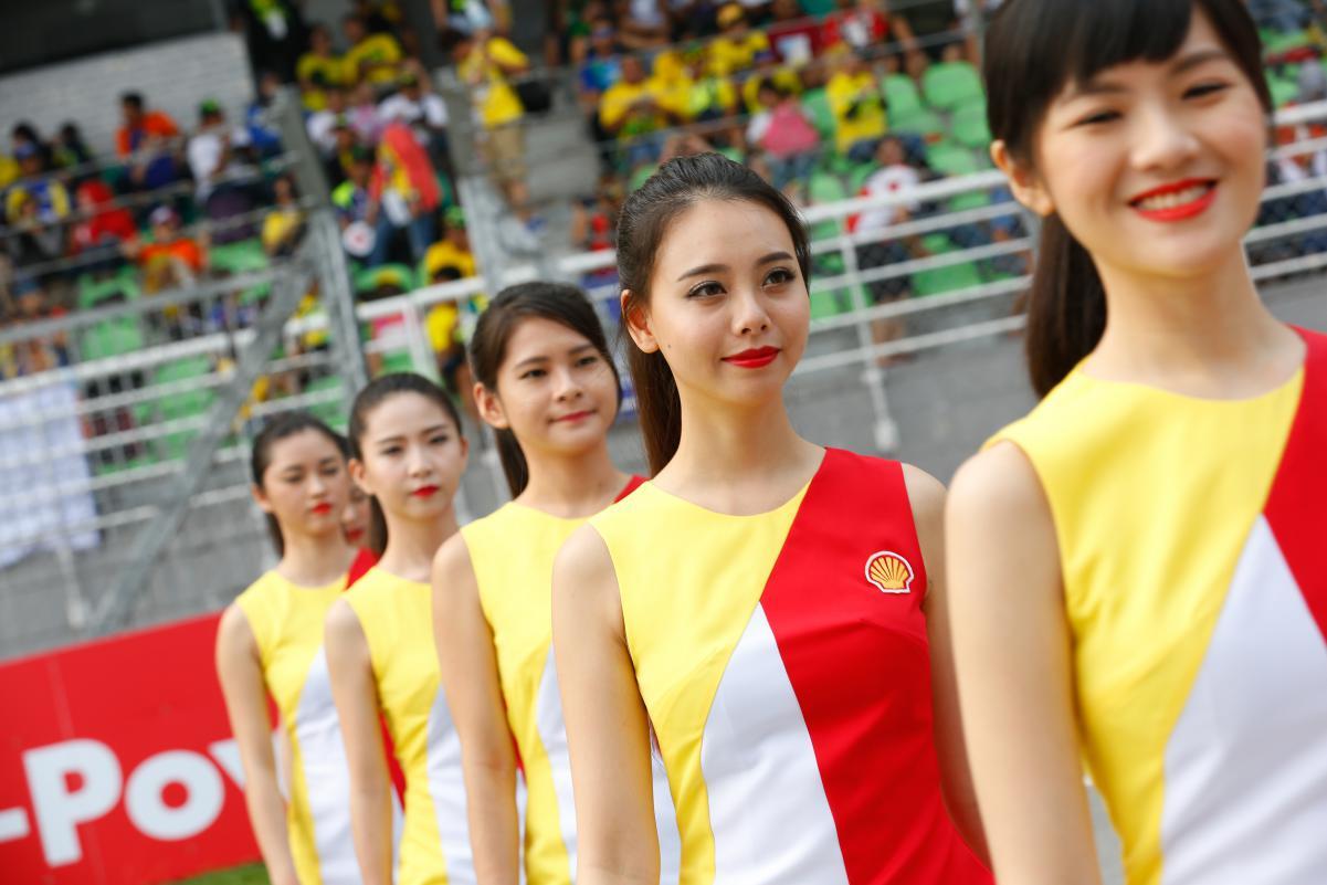 Paddockk Girl Moto Gp 2015 GP Sepang Malaysia