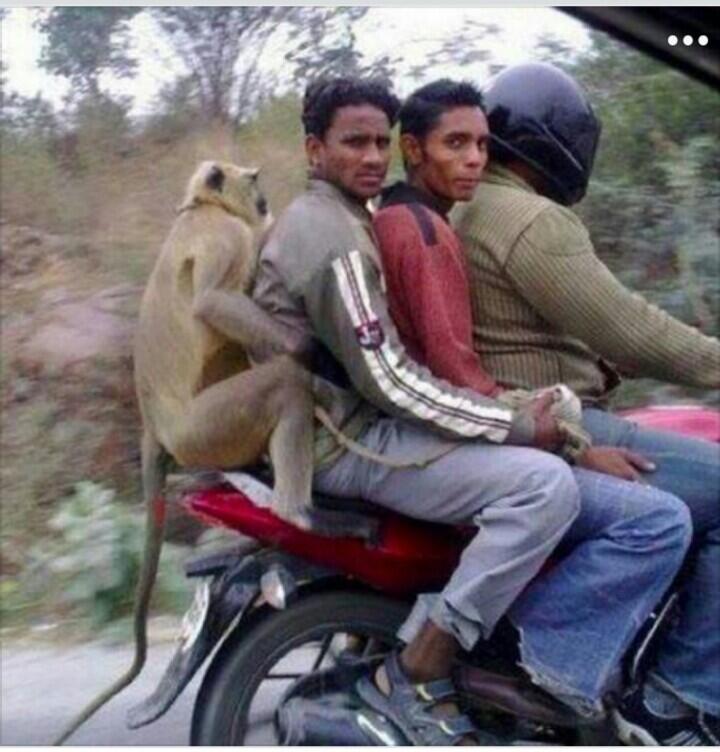 ONLY IN INDIA..