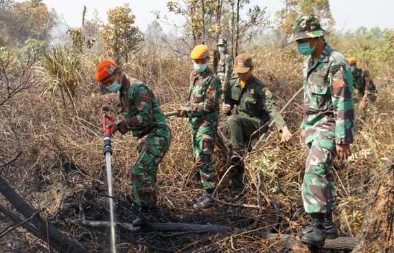 TNI Kerahkan Upaya Membantu Pemadaman Api