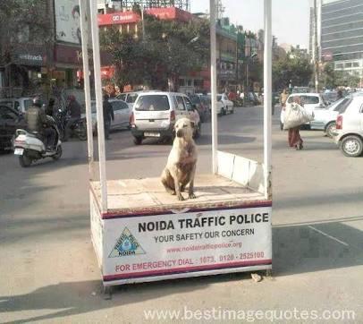 ONLY IN INDIA..