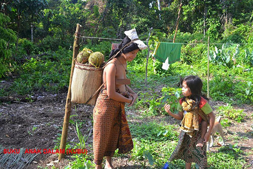 Penderitaan Suku Anak Dalam Jambi yang Menerima Kebiadaban Industri Moderen