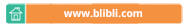 Indocomtech 2015: Indocomtech Goes Online Bersama Blibli.com