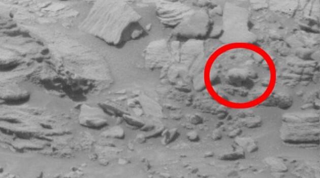 &#91;PIC&#93; Beruang Ternyata Ada Di Planet Mars Gan