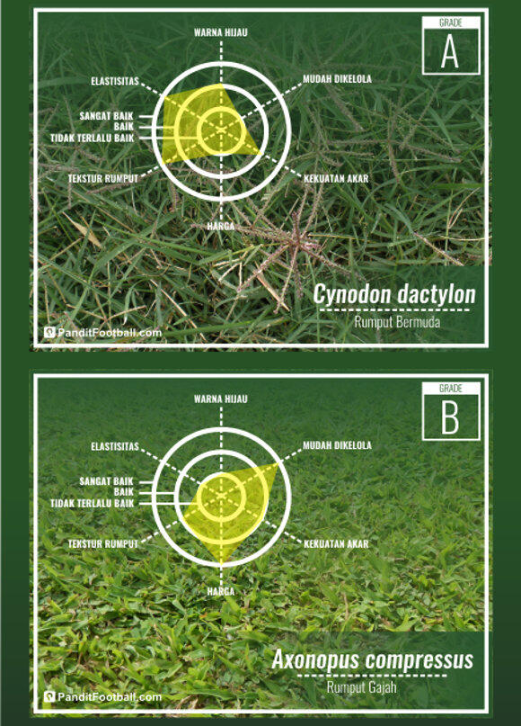 Cara Membuat Pola / Motif Rumput Stadion