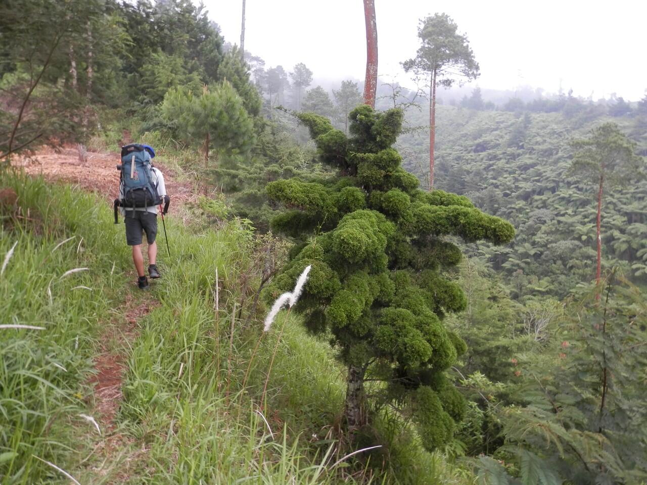 GUNUNG SIKUNDI DIENG