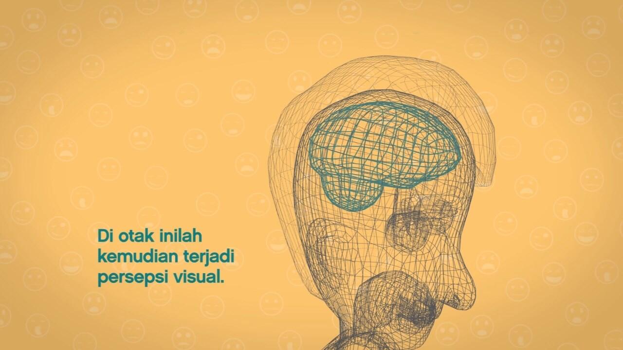 Bagaimanakah Kita Sebagai Manusia Melihat?