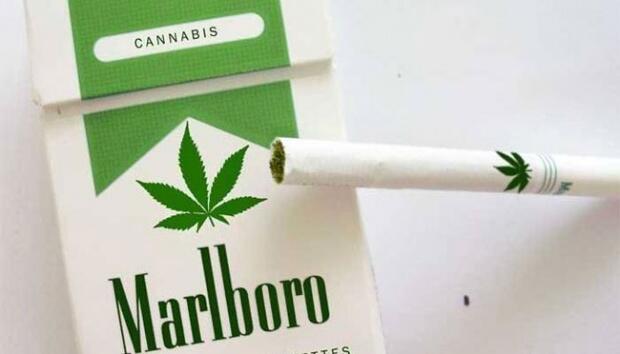 Perusahaan Rokok Terbesar di Dunia, Philip Morris Meluncurkan Rokok Ganja Marlboro 