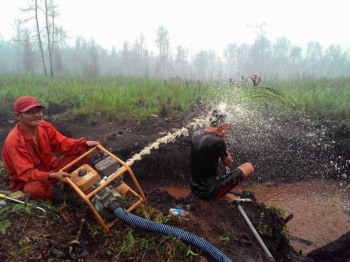 Kehebatan Pasukan Penjaga Lahan Gambut dari Tanah Borneo &#91;Dokumentasi&#93;