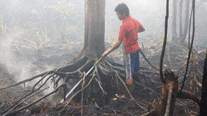 Kehebatan Pasukan Penjaga Lahan Gambut dari Tanah Borneo &#91;Dokumentasi&#93;