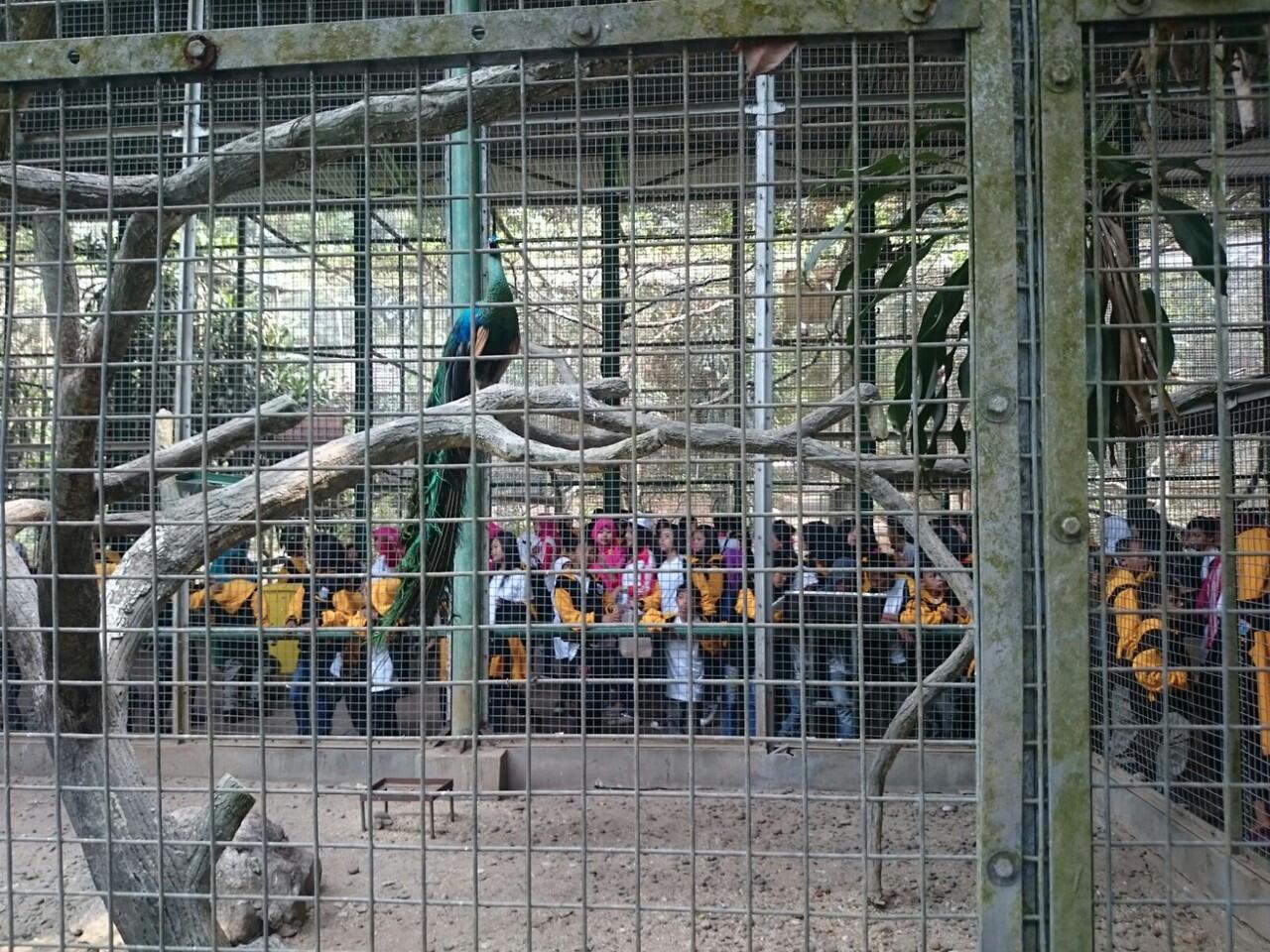 Rekreasi Sebagai Pemenuhan Hak Dasar Anak