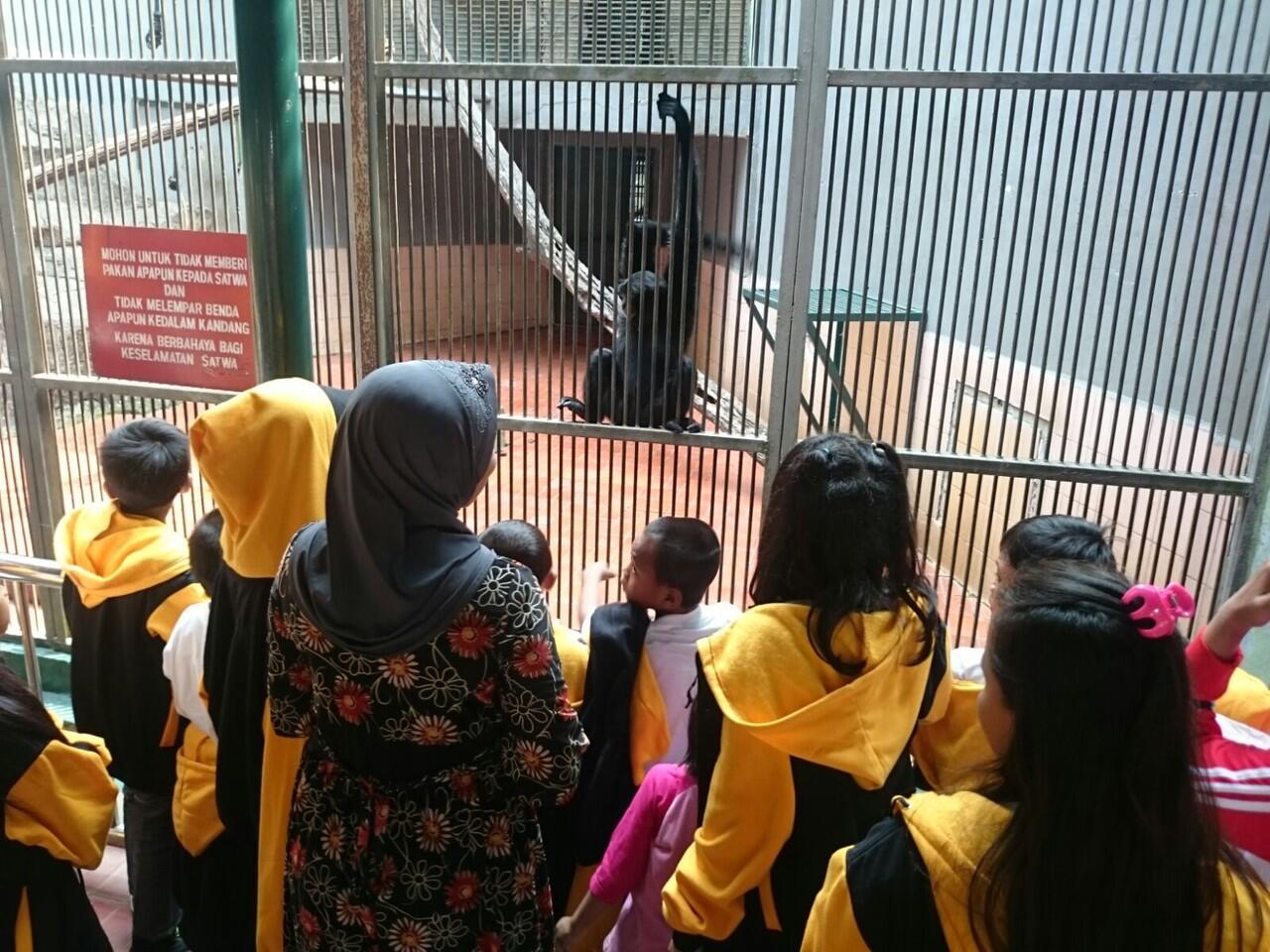 Rekreasi Sebagai Pemenuhan Hak Dasar Anak