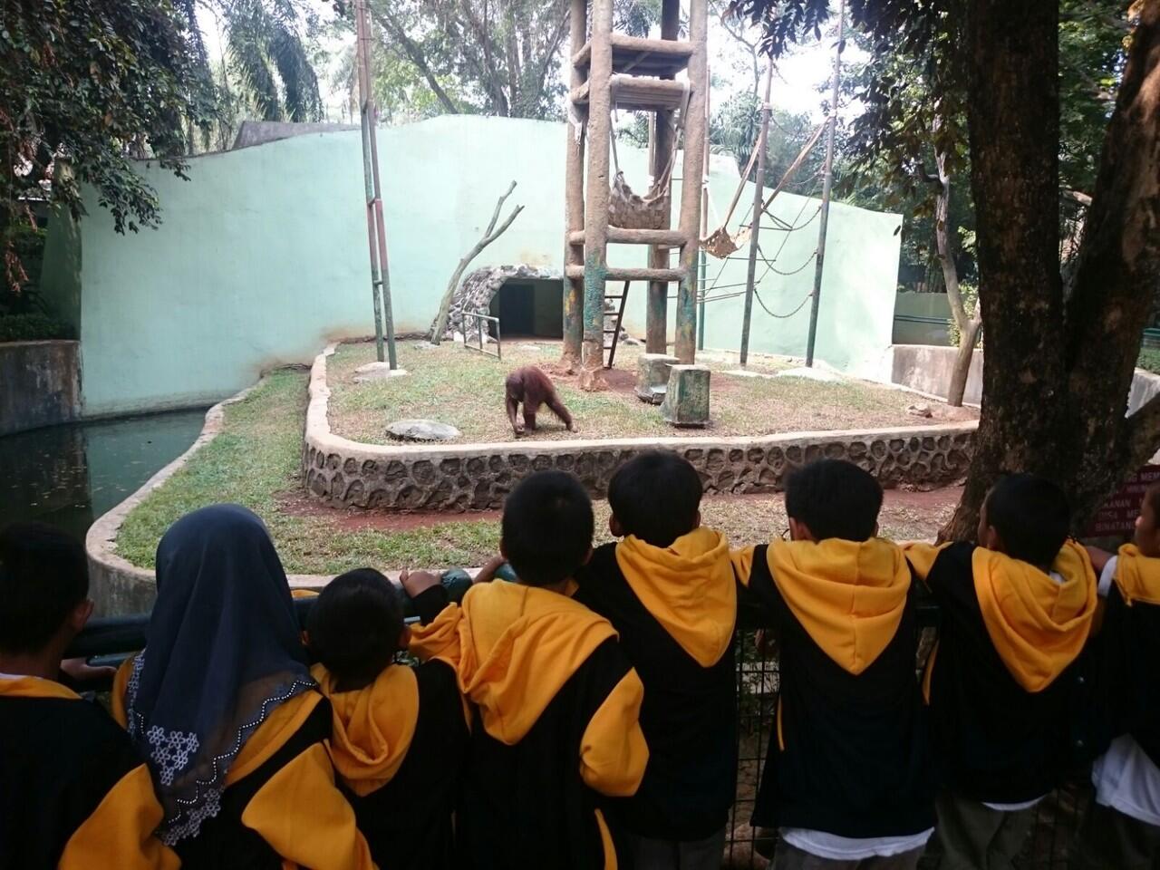 Rekreasi Sebagai Pemenuhan Hak Dasar Anak