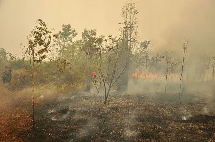 Ketika memadamkan kebakaran,difitnah membakar lahan