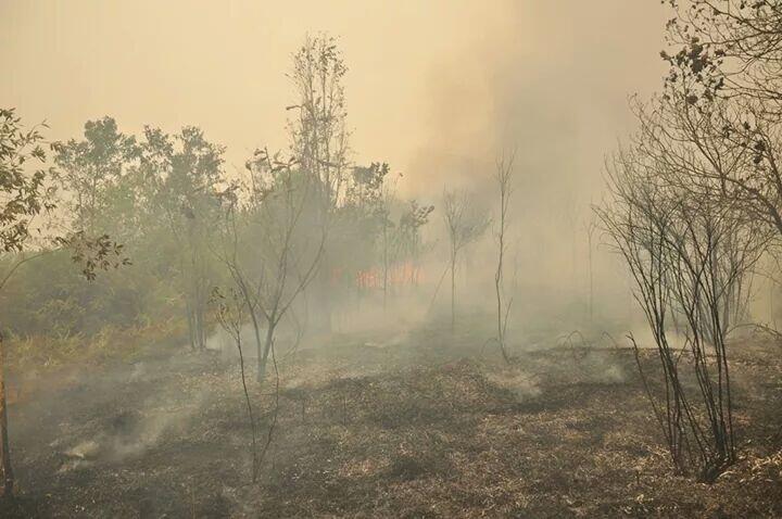 Ketika memadamkan kebakaran,difitnah membakar lahan