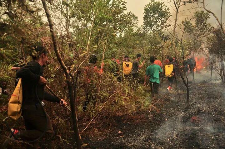 Ketika memadamkan kebakaran,difitnah membakar lahan