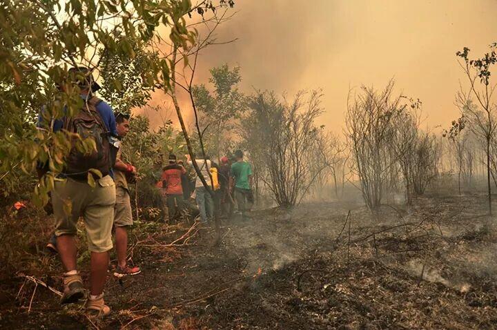 Ketika memadamkan kebakaran,difitnah membakar lahan