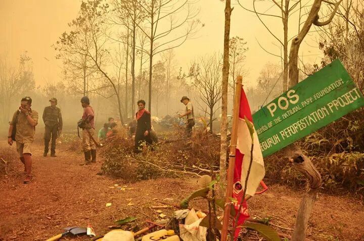 Ketika memadamkan kebakaran,difitnah membakar lahan