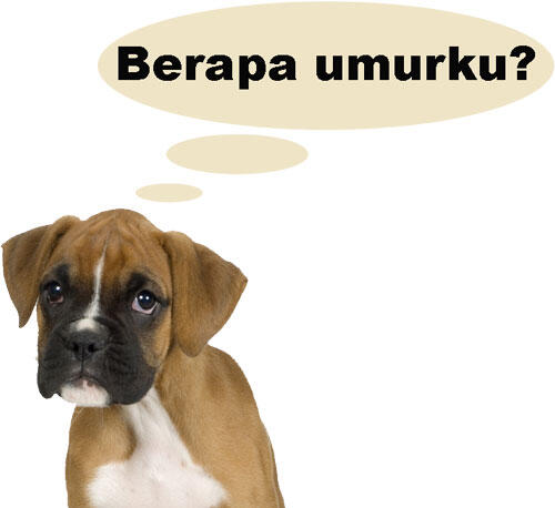  &quot;Peringatan Hari Lahir atau Ulang Tahun&quot; juga ada hikmahnya loh Gan!