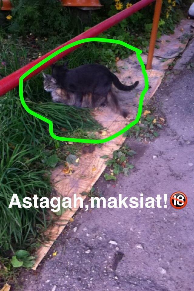 CERITA HIDUP TAHUMANCHESTER DI RUSSIA
