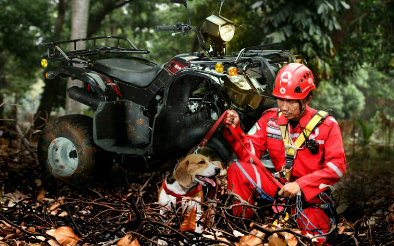 (INFO) Indonesian Disaster Emergency Response Unit Recruitment...