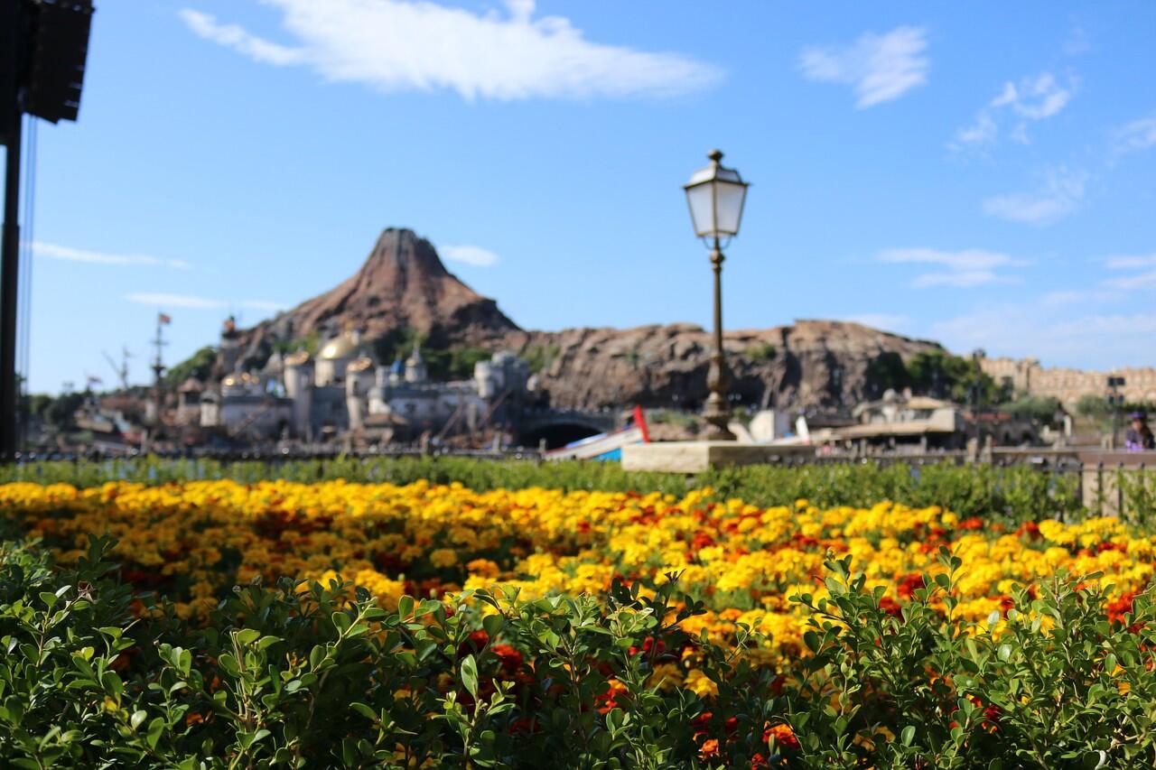 &#91;FR&#93; Japan 25 Oktober - 2 November 2015 (Tokyo, Kawaguchiko(Fuji), Kyoto dan Osaka)