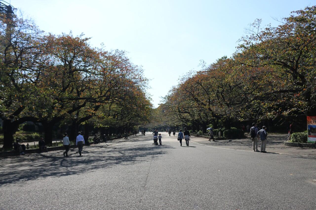 &#91;FR&#93; Japan 25 Oktober - 2 November 2015 (Tokyo, Kawaguchiko(Fuji), Kyoto dan Osaka)