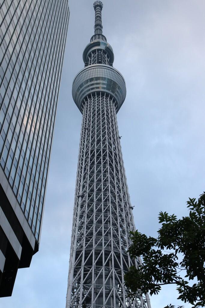 &#91;FR&#93; Japan 25 Oktober - 2 November 2015 (Tokyo, Kawaguchiko(Fuji), Kyoto dan Osaka)